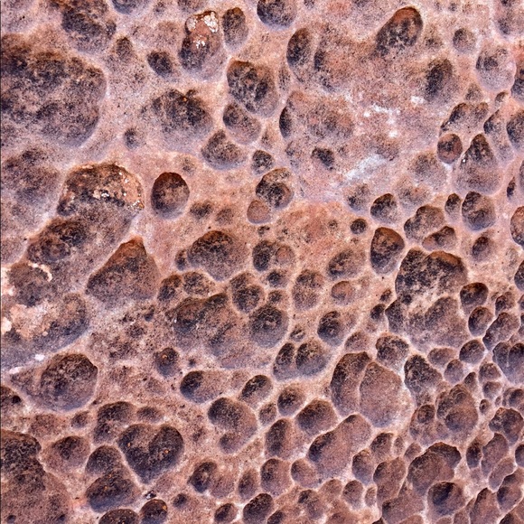 Meet your Posher, Myah - Picture 1 of 1